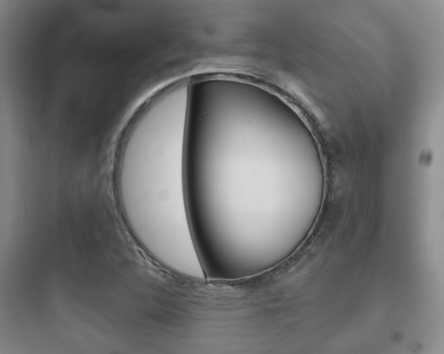 X0000097951312200803241009