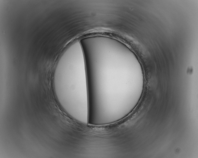 X0000097951313200803241009