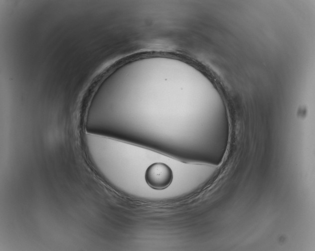 X0000097951315200803241009