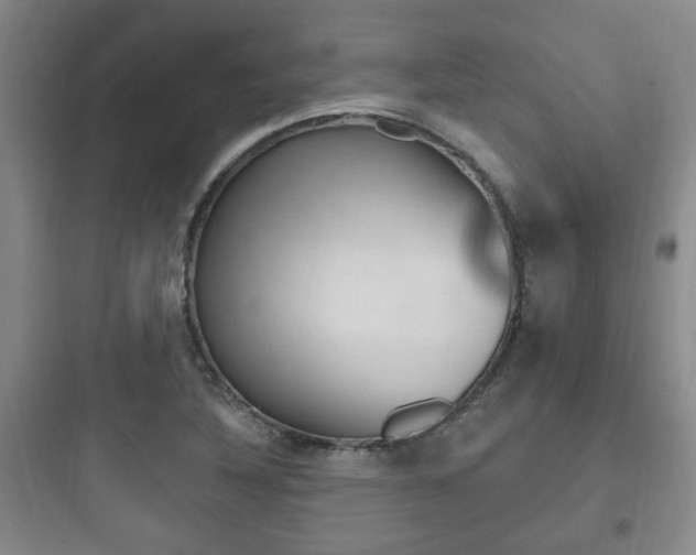 X0000097951316200803241009