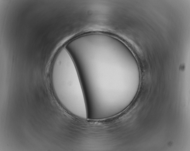 X0000097951317200803241009