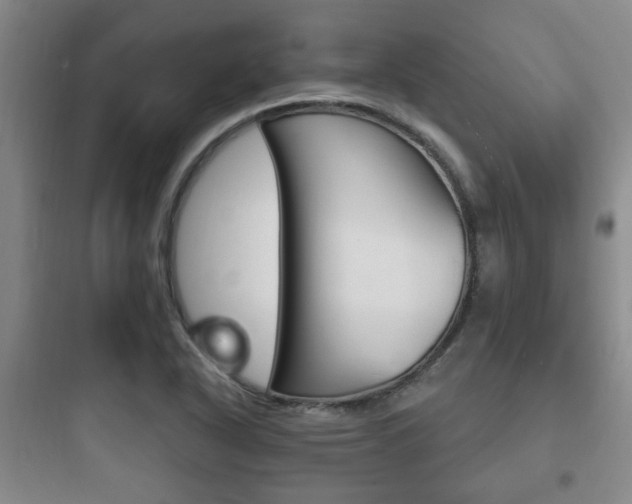 X0000097951318200803241009