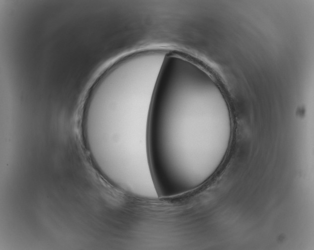 X0000097951319200803241009