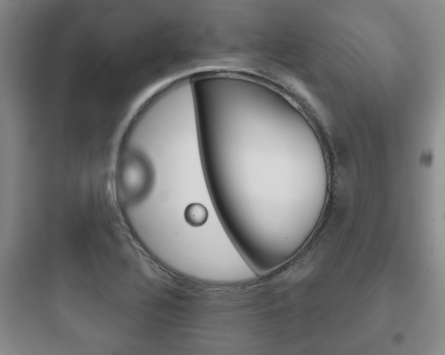 X0000097951320200803241009