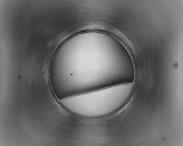 X0000097951321200803241010