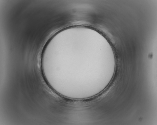 X0000097951322200803241010