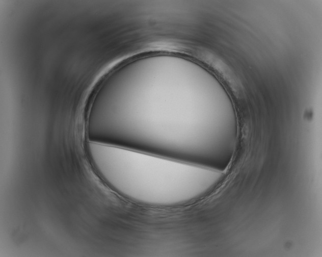 X0000097951323200803241010