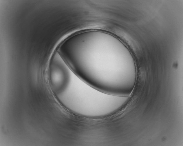 X0000097951324200803241010