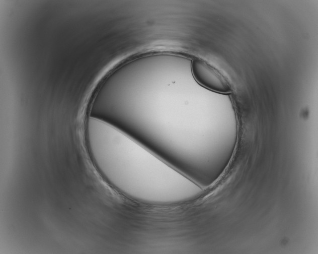 X0000097951325200803241010