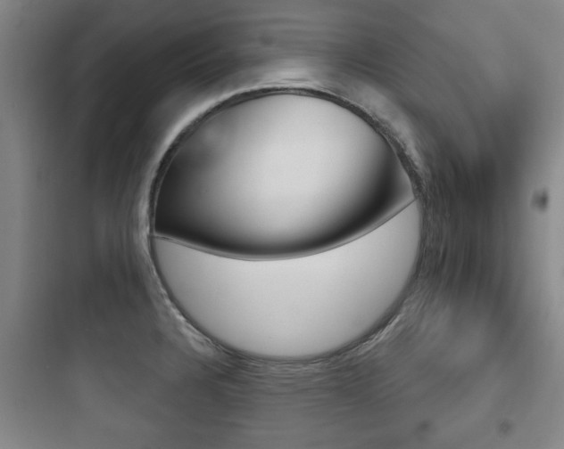 X0000097951328200803241010