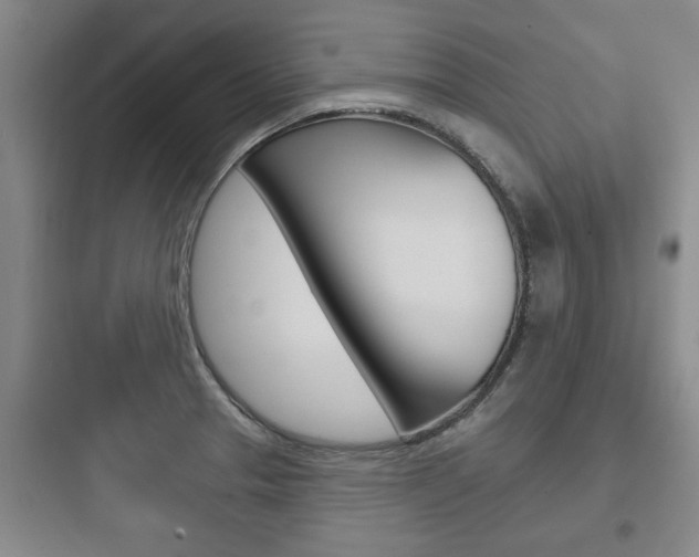 X0000097951329200803241010