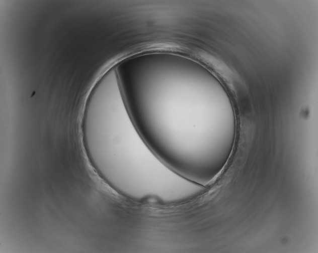 X0000097951330200803241010