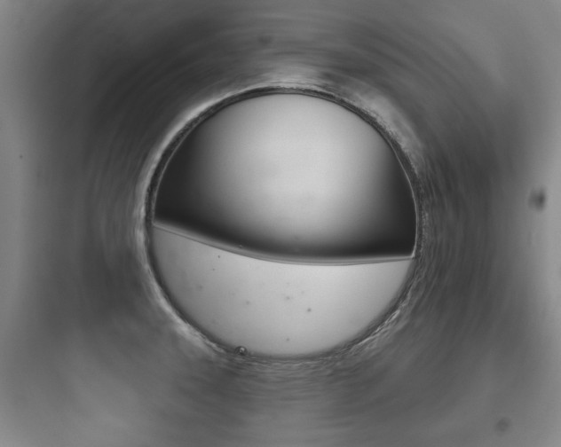 X0000097951331200803241010