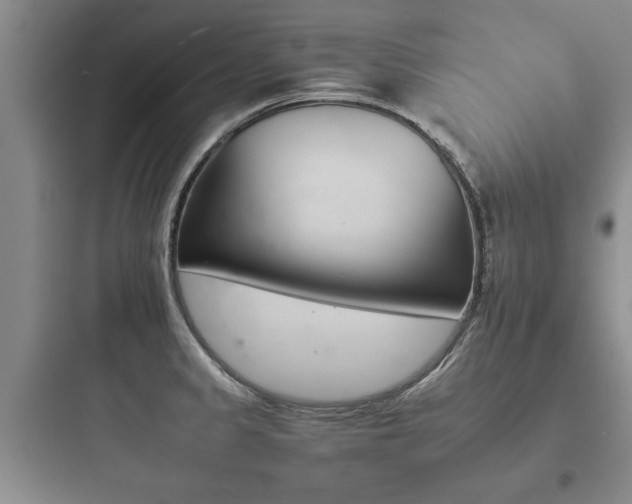 X0000097951333200803241010