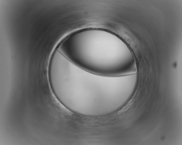 X0000097951334200803241010