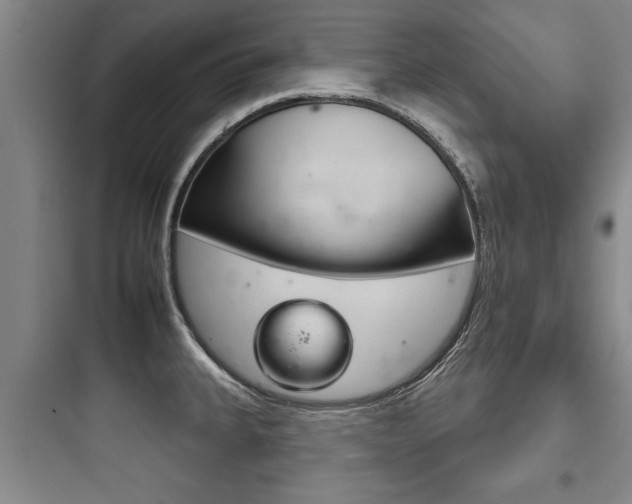 X0000097951335200803241010