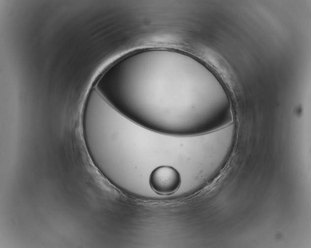 X0000097951336200803241010