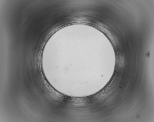 X0000097951338200803241010