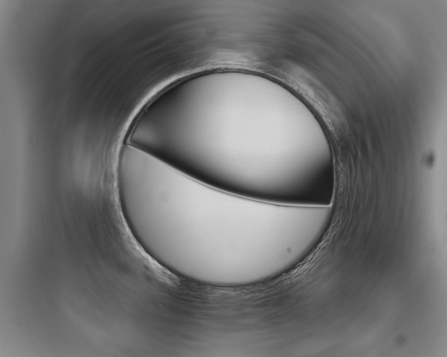 X0000097951339200803241010