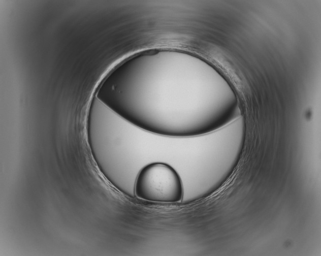 X0000097951340200803241010