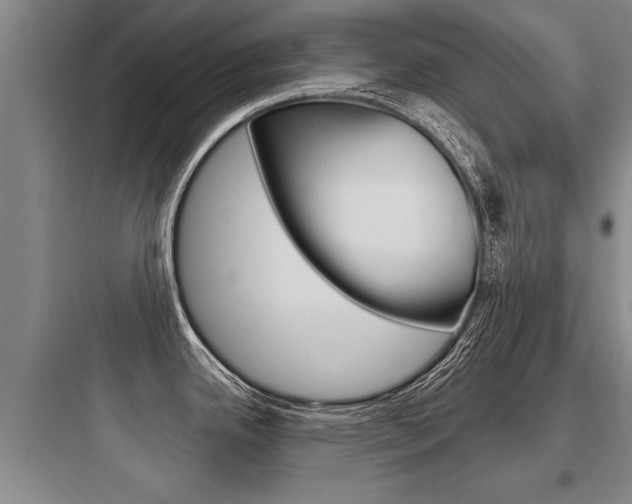 X0000097951342200803241010
