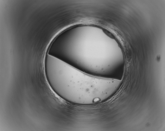 X0000097951343200803241010