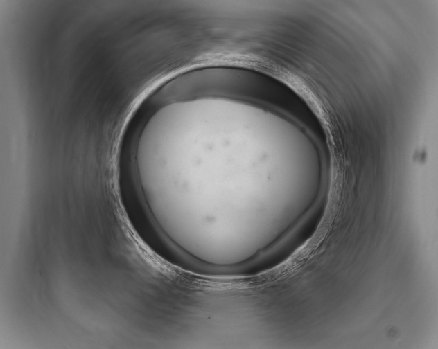 X0000097951344200803241010