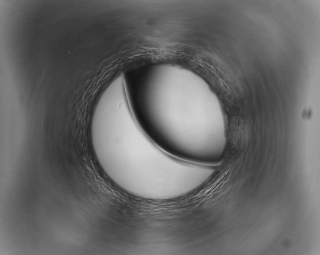 X0000097951345200803241009