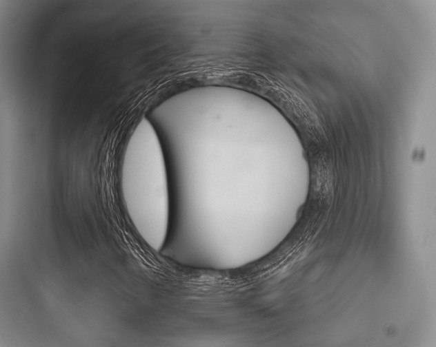 X0000097951346200803241009