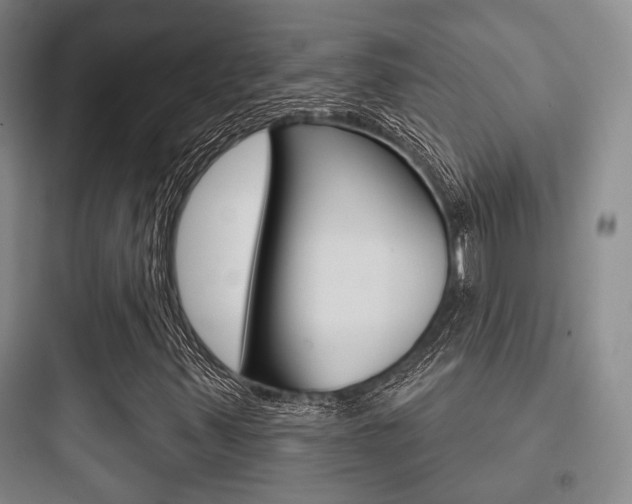X0000097951347200803241009