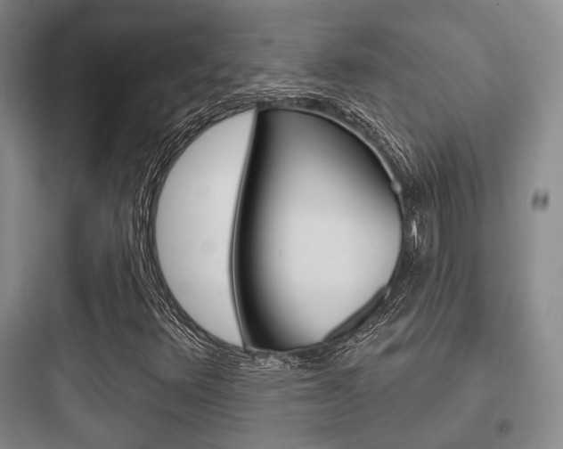 X0000097951348200803241009