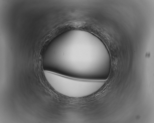 X0000097951349200803241009
