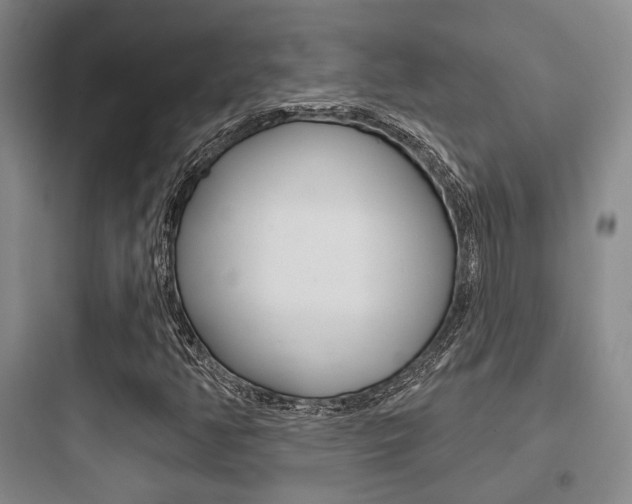 X0000097951350200803241009