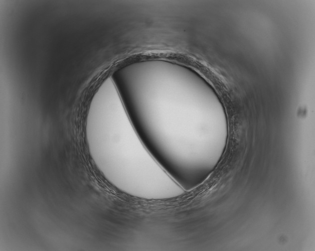 X0000097951351200803241009