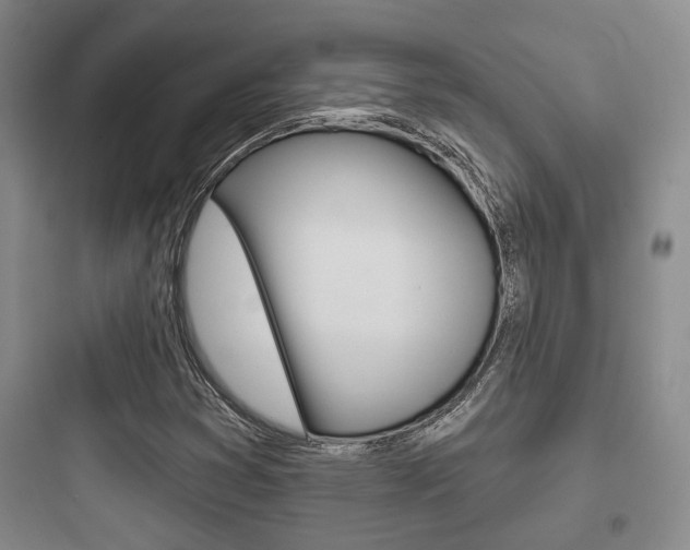 X0000097951353200803241009