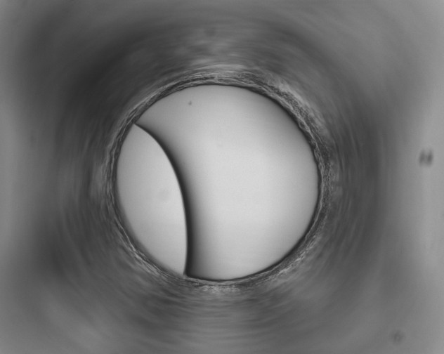 X0000097951354200803241009