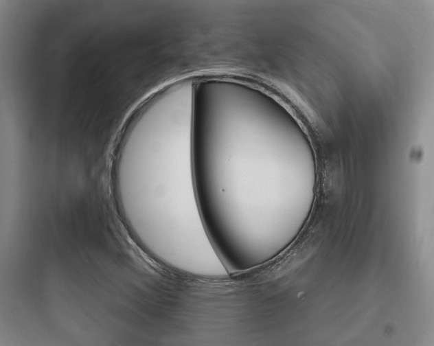 X0000097951356200803241009