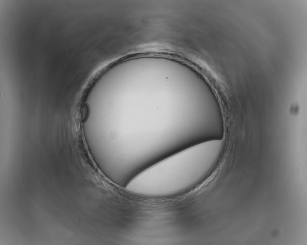 X0000097951358200803241009