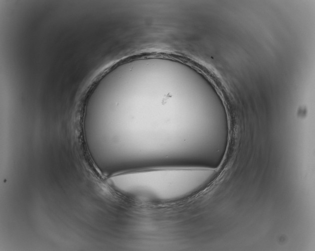 X0000097951359200803241009