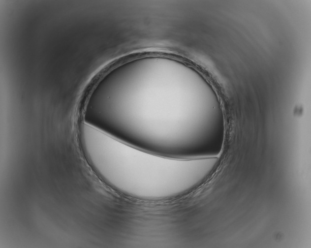 X0000097951360200803241009