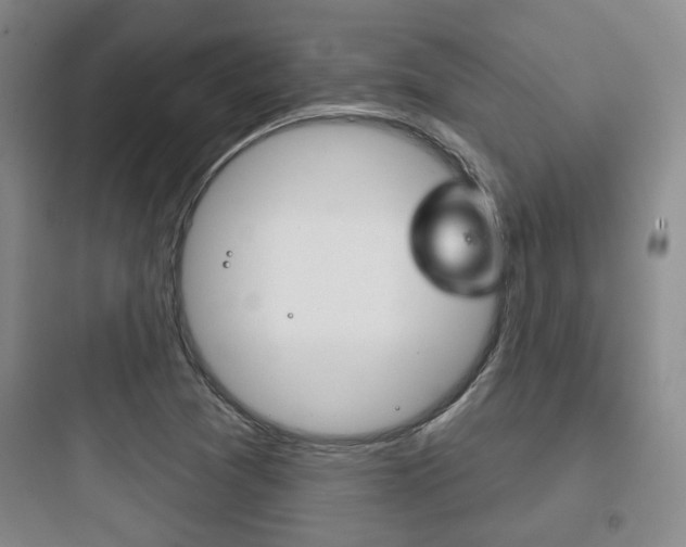 X0000097951361200803241009