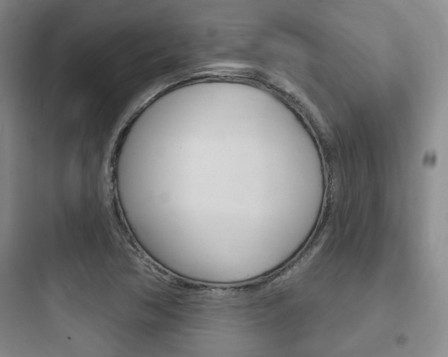 X0000097951362200803241009