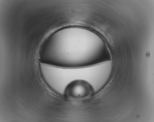 X0000097951363200803241009