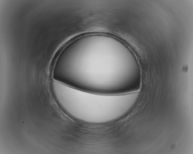 X0000097951364200803241009