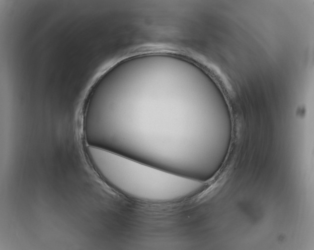 X0000097951365200803241009