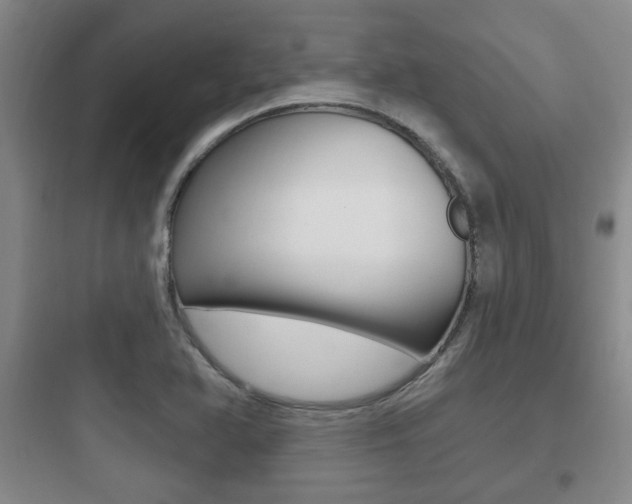 X0000097951366200803241009