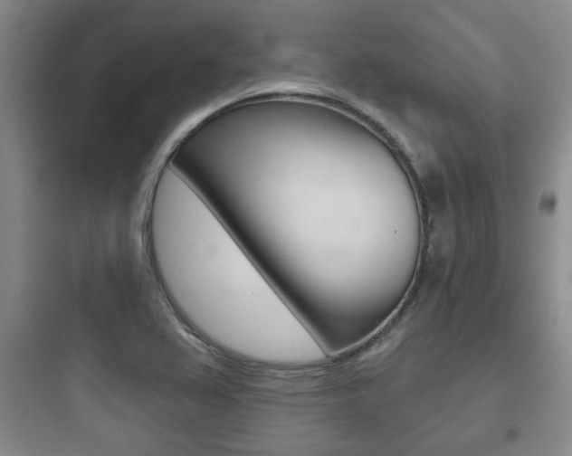 X0000097951367200803241009