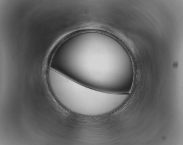 X0000097951368200803241009
