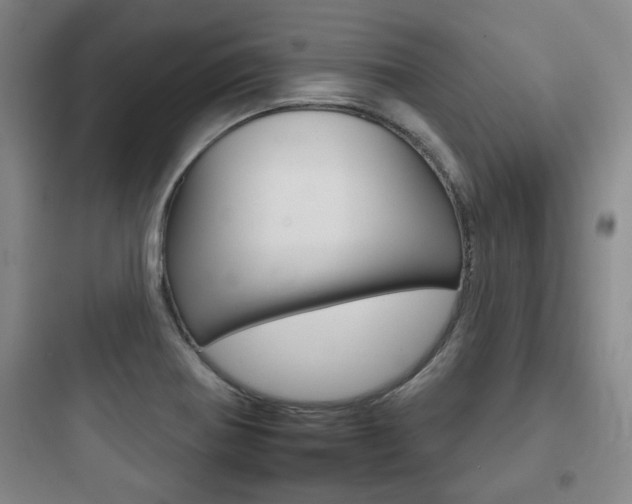 X0000097951370200803241009