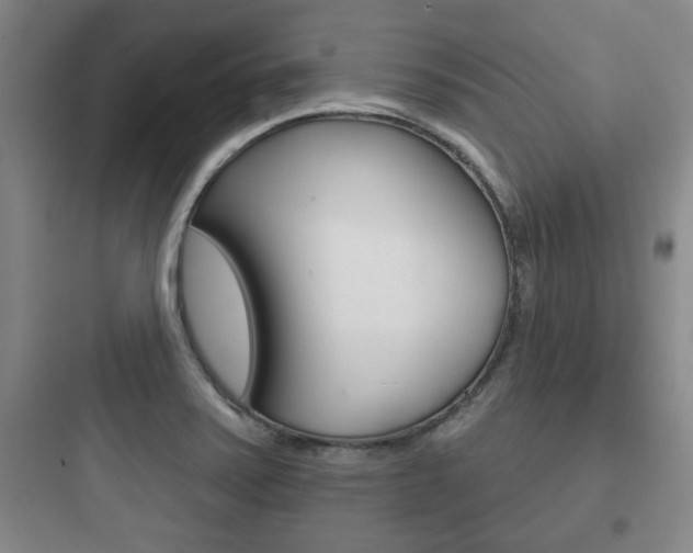 X0000097951371200803241009